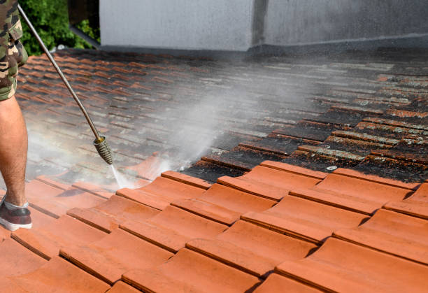 Best Roof Pressure Washing  in Garden City, ID